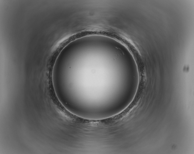 X0000094801304200711161448