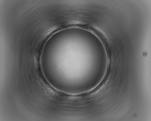 X0000094801305200711161448
