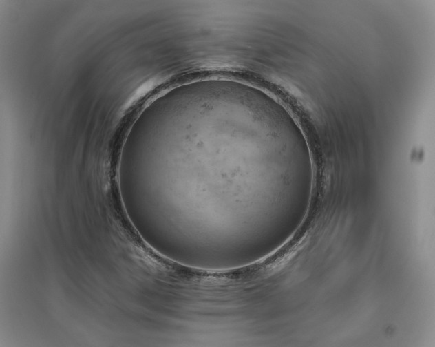 X0000094801306200711161448