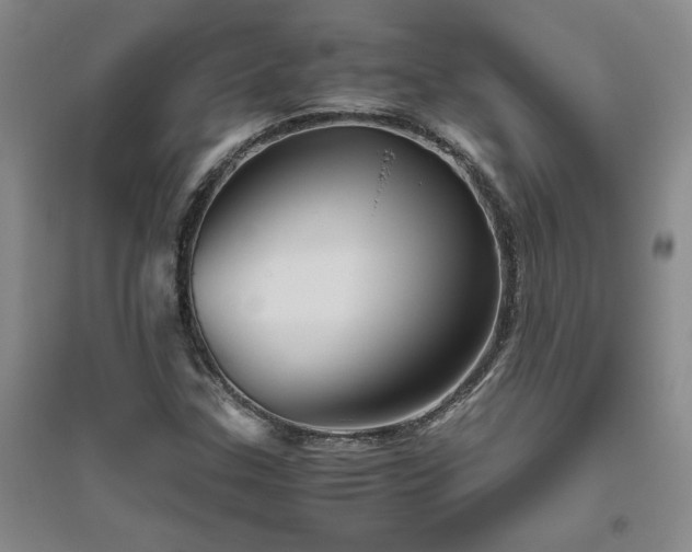 X0000094801307200711161448