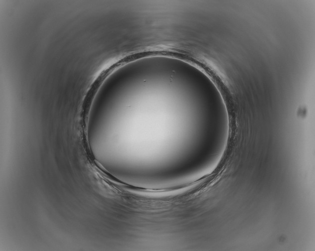 X0000094801308200711161448
