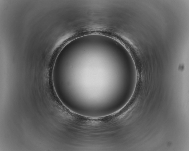 X0000094801309200711161448
