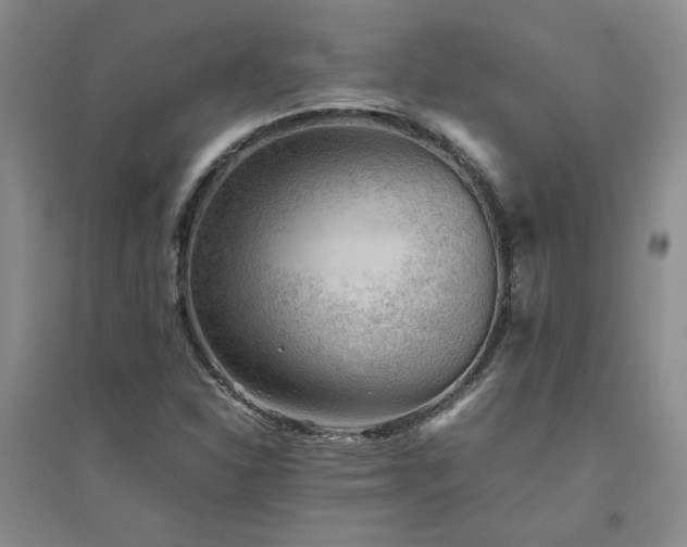 X0000094801310200711161448