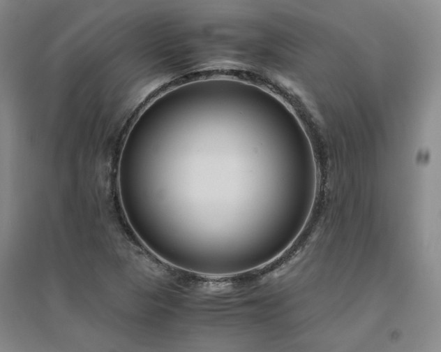 X0000094801313200711161448