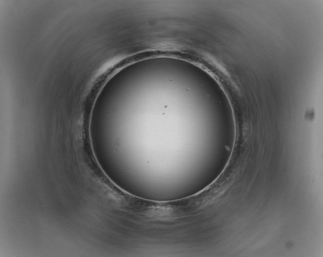 X0000094801315200711161448