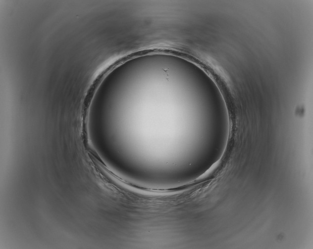 X0000094801316200711161448