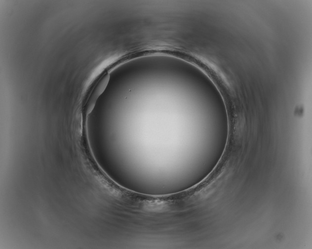 X0000094801317200711161448