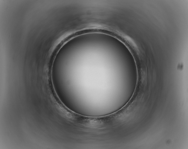 X0000094801318200711161448