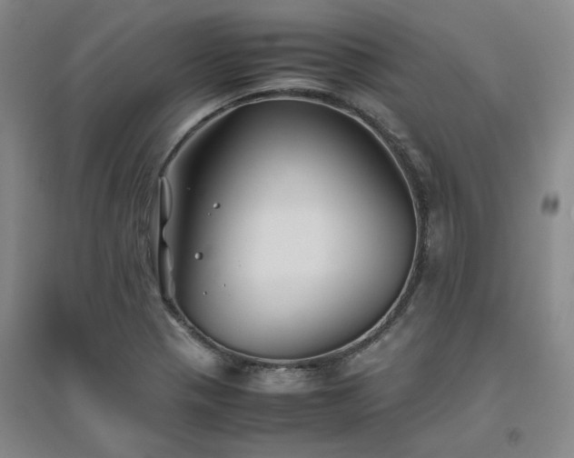 X0000094801321200711161448