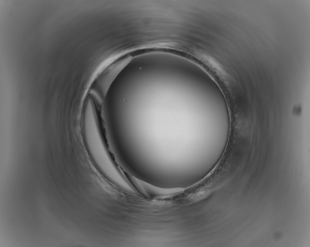 X0000094801324200711161448