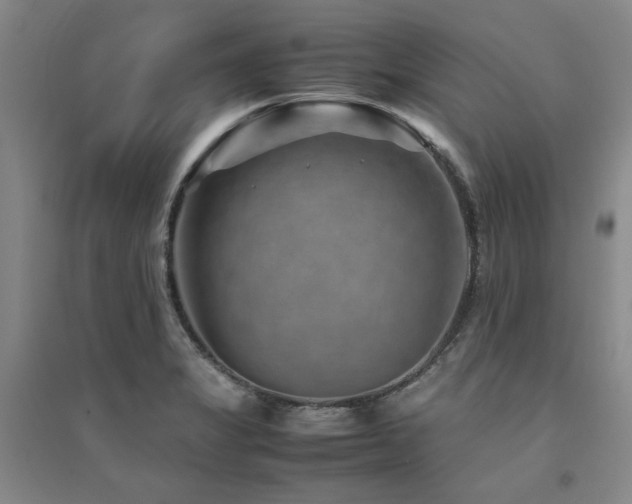 X0000094801325200711161448