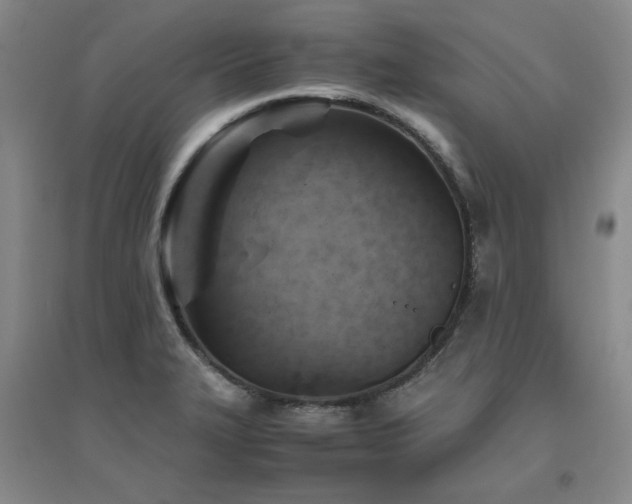 X0000094801327200711161448