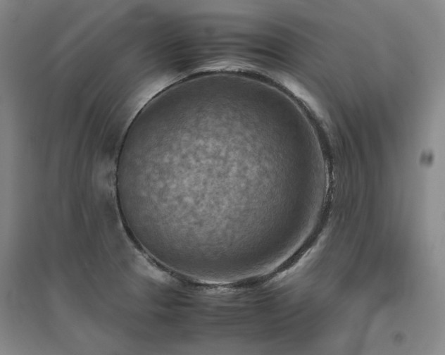 X0000094801329200711161448
