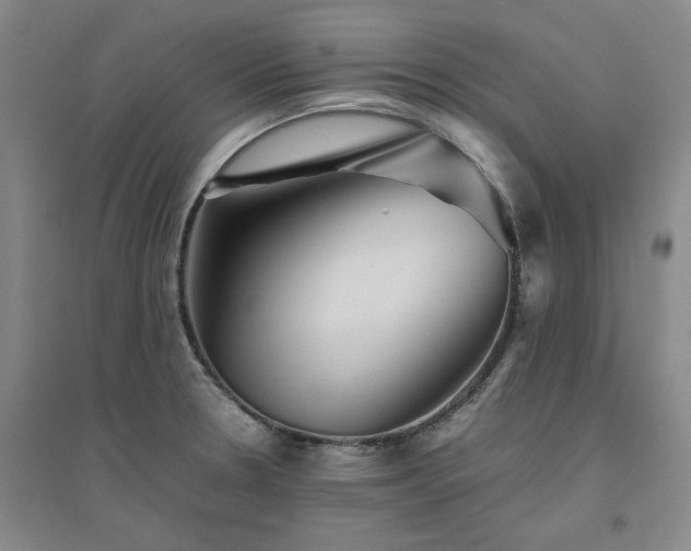 X0000094801330200711161448