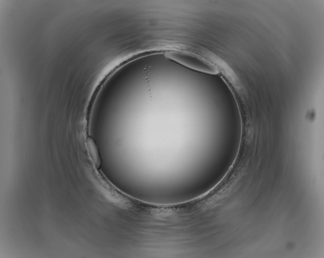 X0000094801332200711161448