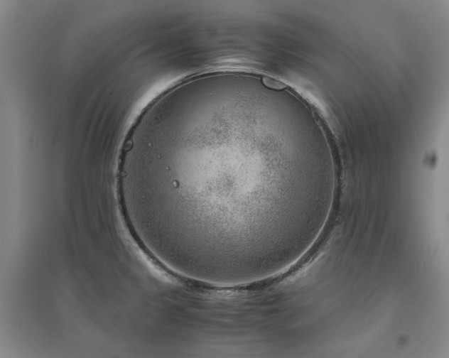 X0000094801333200711161448