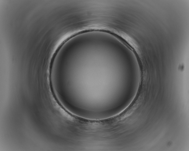 X0000094801334200711161448