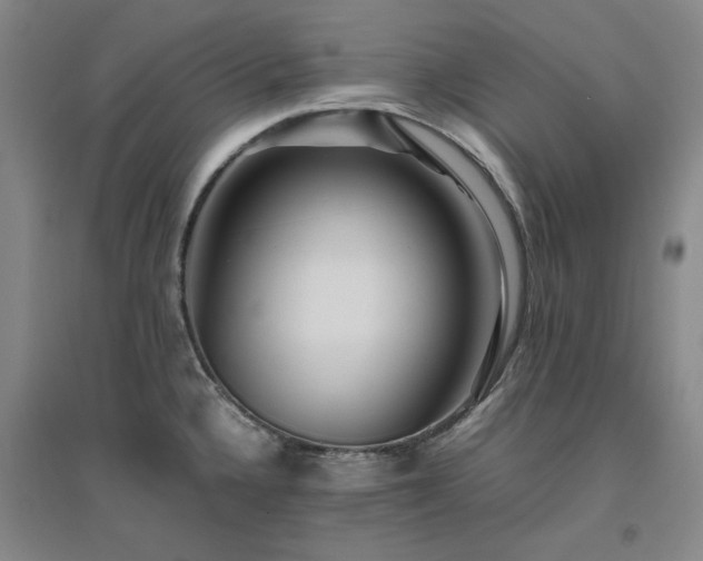 X0000094801336200711161448