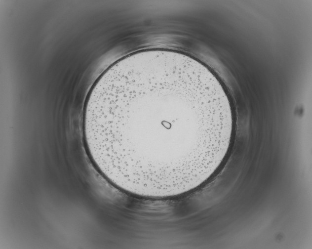X0000094801338200711161449