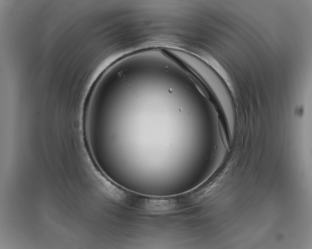 X0000094801339200711161449