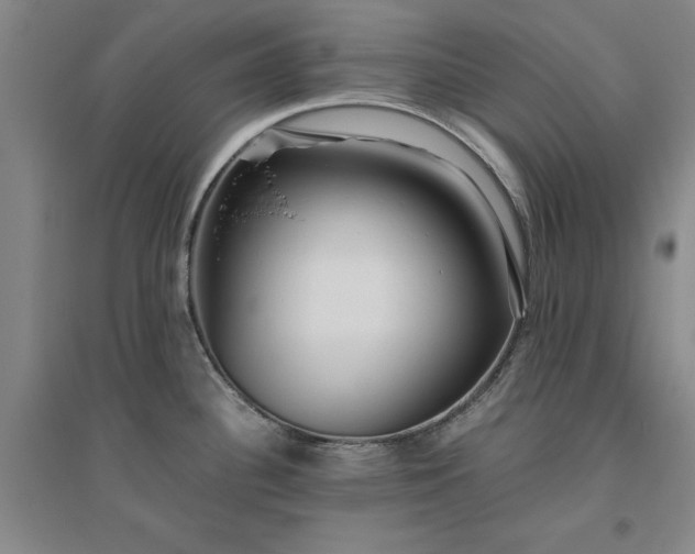 X0000094801340200711161449
