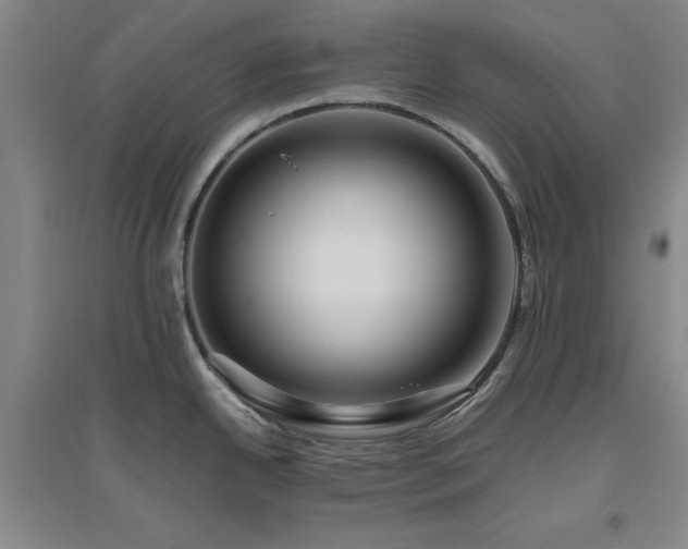 X0000094801342200711161449