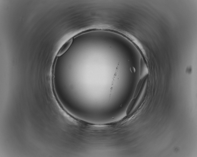 X0000094801343200711161449