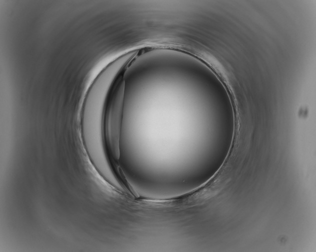 X0000094801344200711161449