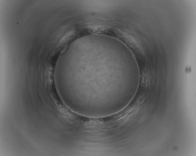 X0000094801346200711161448