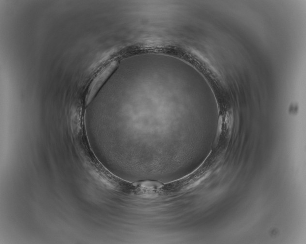 X0000094801348200711161448