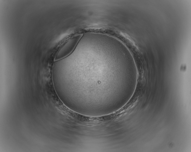 X0000094801350200711161448