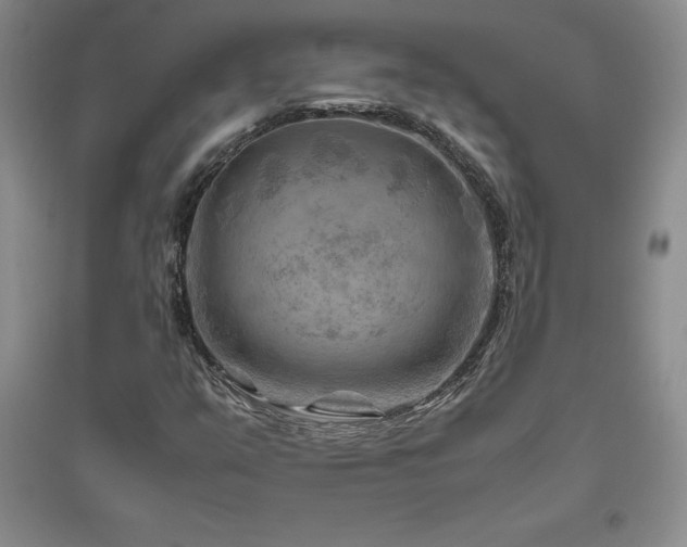 X0000094801351200711161448