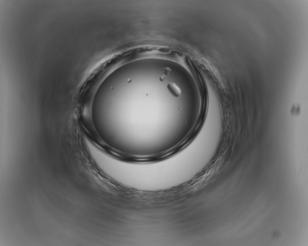 X0000094801352200711161448