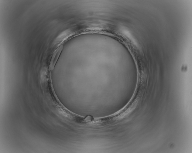 X0000094801353200711161448