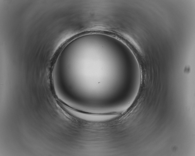 X0000094801356200711161448