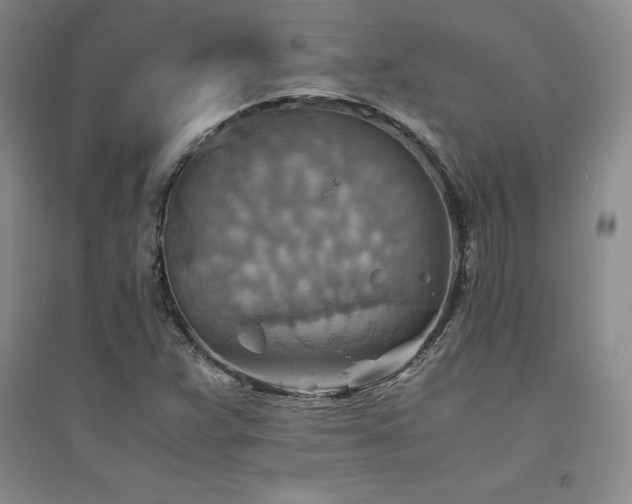 X0000094801359200711161448