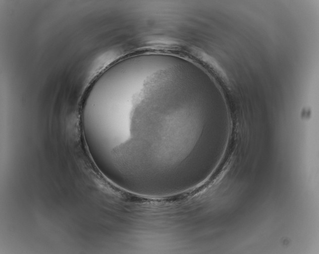 X0000094801362200711161448