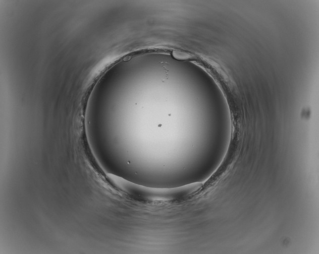 X0000094801363200711161448
