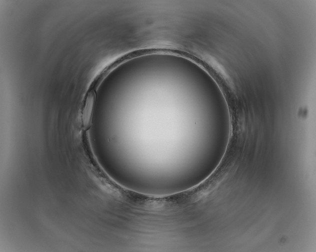 X0000094801364200711161448