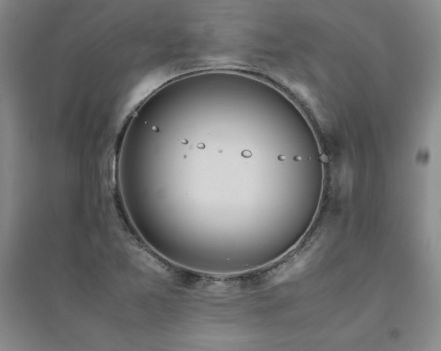 X0000094801365200711161447