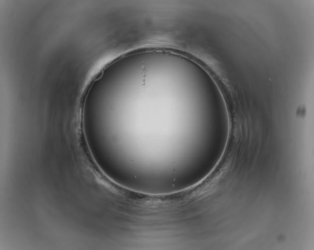 X0000094801366200711161447