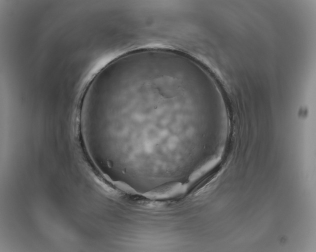 X0000094801367200711161447