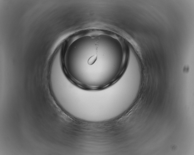 X0000094801368200711161447