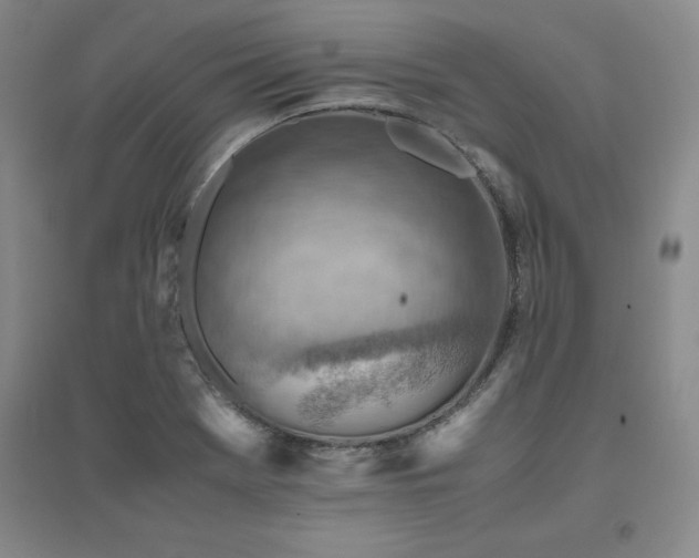 X0000094801369200711161447