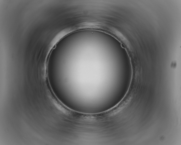 X0000094801370200711161447