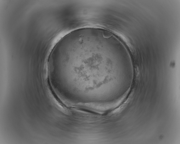 X0000094801371200711161447