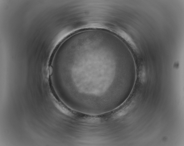 X0000094801372200711161447