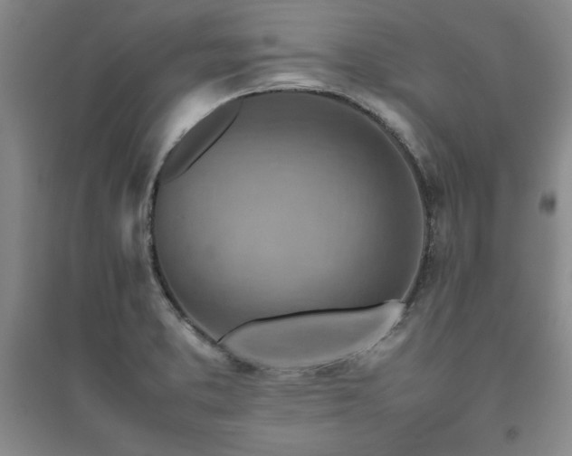X0000094801373200711161447