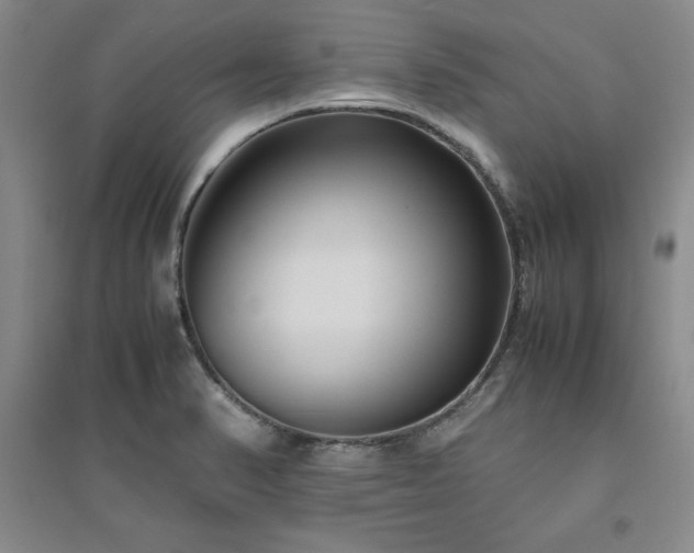 X0000094801374200711161447