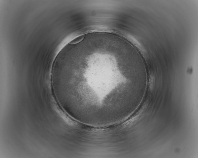 X0000094801378200711161447